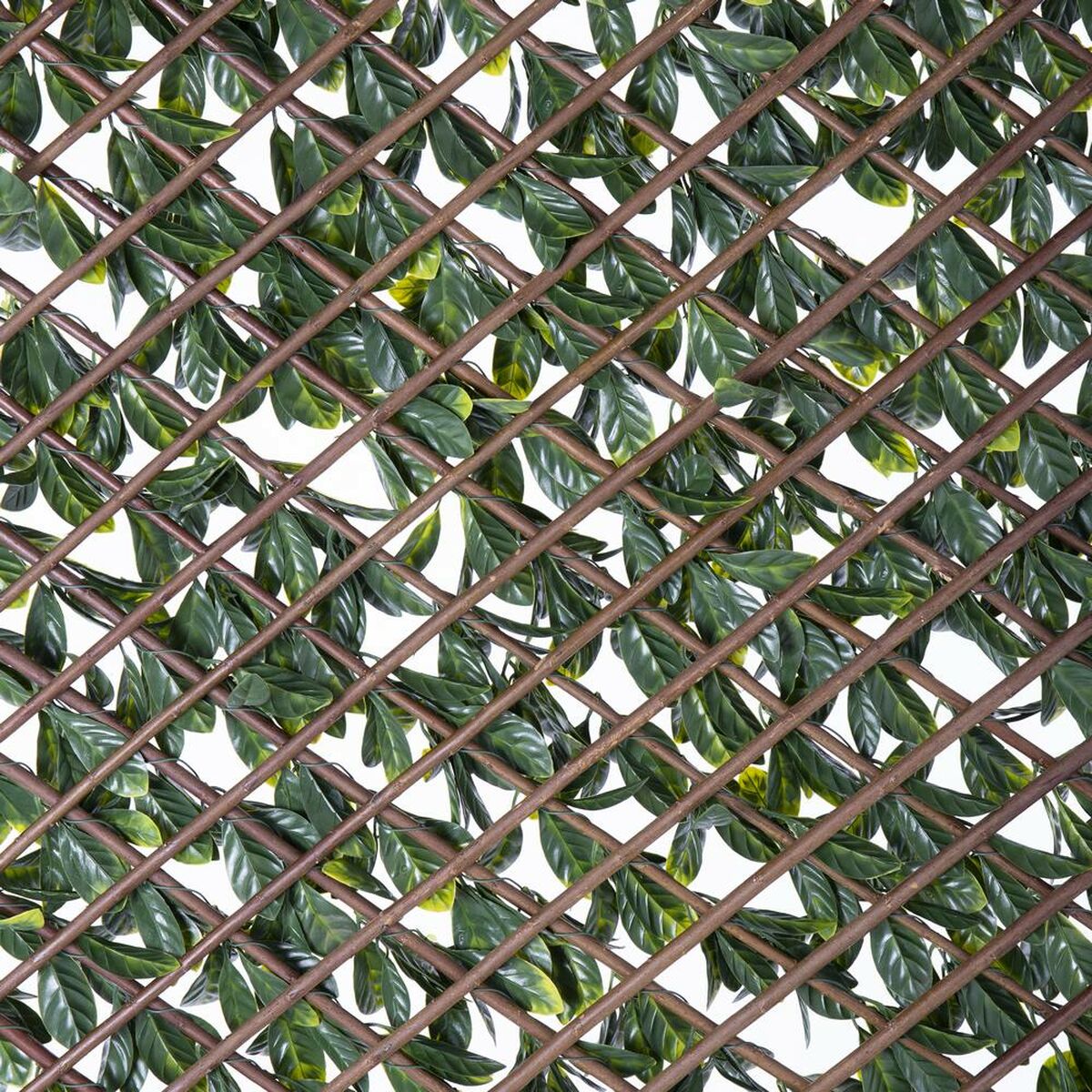 Rooster Natural Hedera vlechtwerk Bamboe 2 x 200 x 100 cm