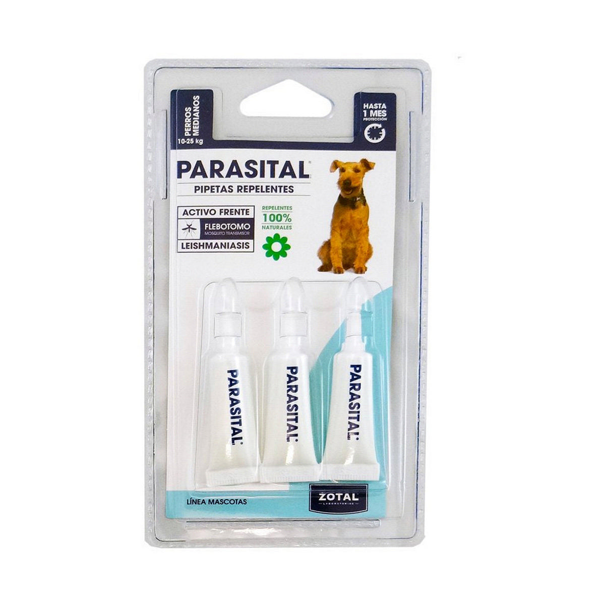 V11HB29EC59561AC67EFE224D22D84CA37EBR5319356P2