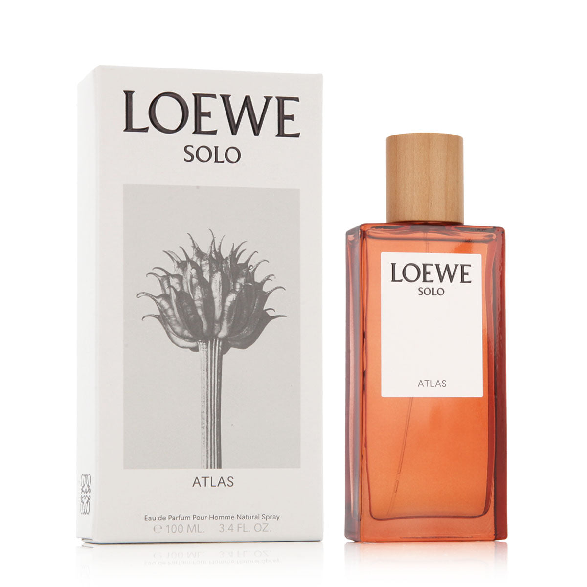 Herenparfum Loewe EDP Solo Atlas 100 ml