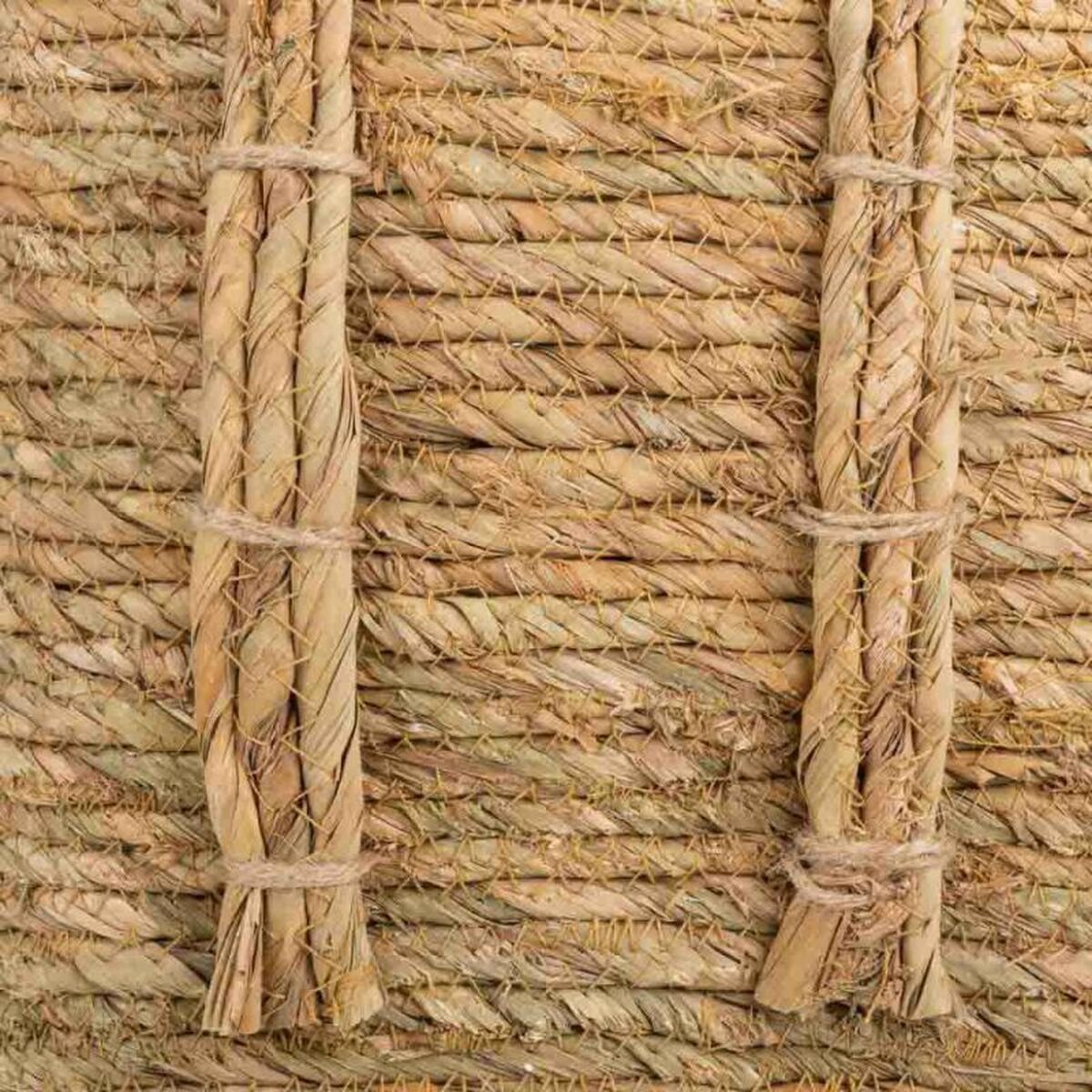 V6H31B101E67BC8728A89D4BC5BD0471F1AR5209825P3