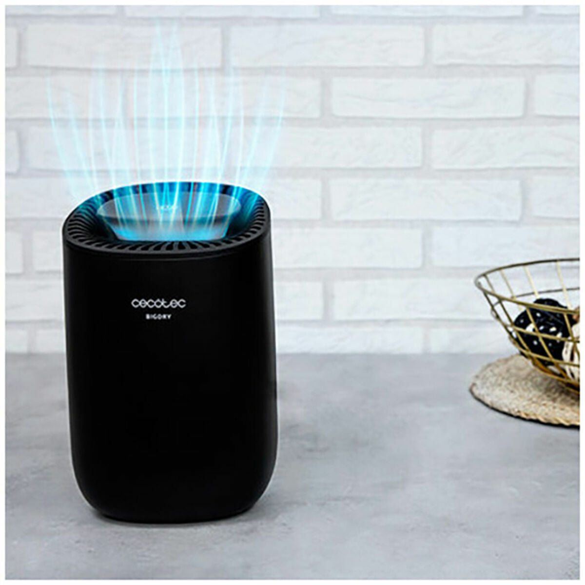 V10HDE4E972E33ED768864AB8B79FFD710EAR6937657P2