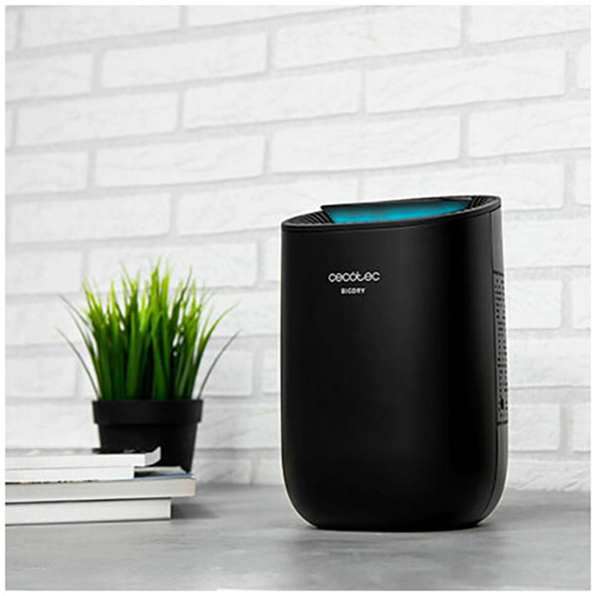 V11H7278A2E2817E20B9E96455399C6A0066R6937663P6