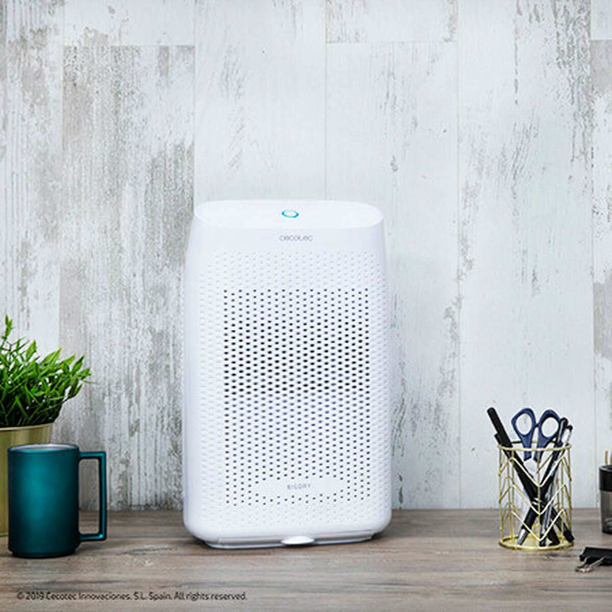 V12H41E0A1457B24657EC7A288B0BDCC4DCCR6937651P4