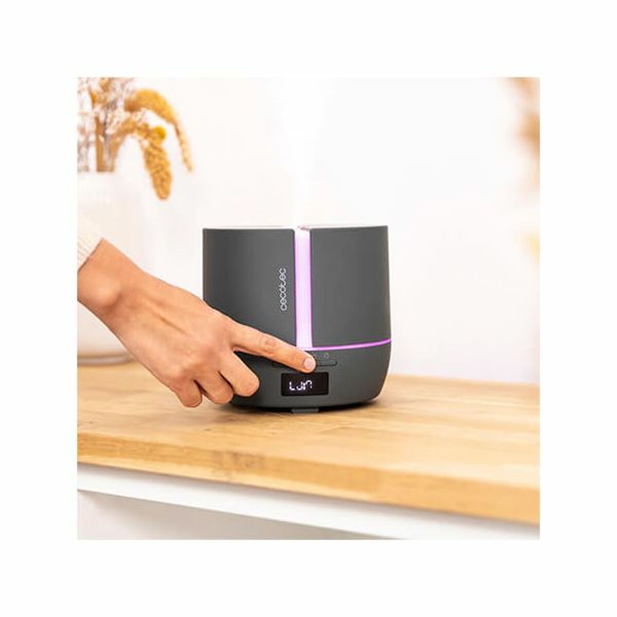 V13HD26C4200FB3B2F7BBE6EA76DCF7D5FC0R3218864P5