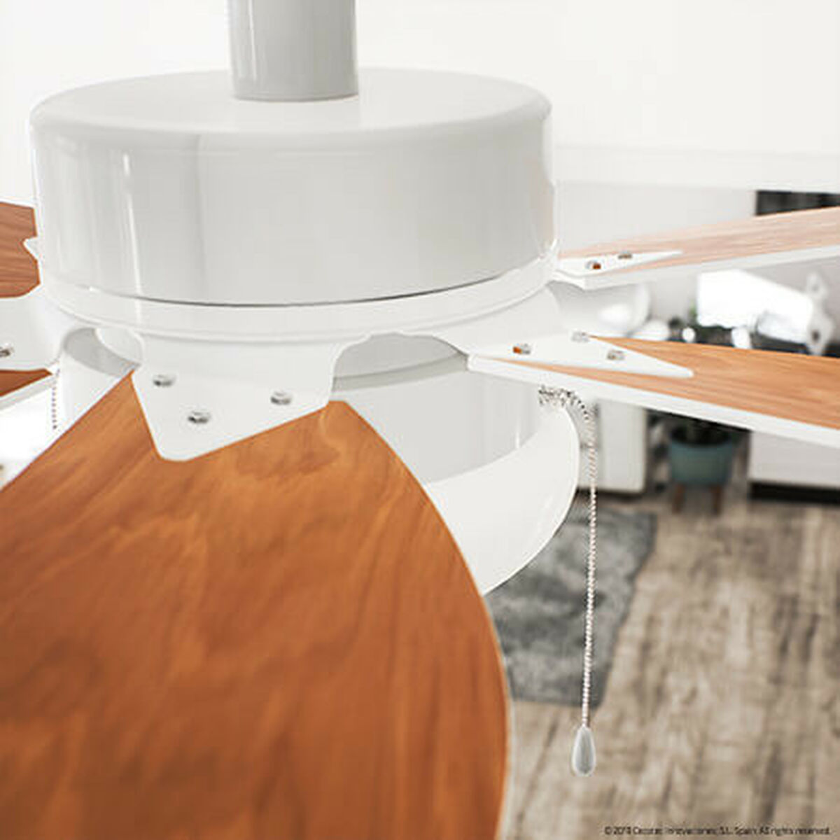 V12H0732AF5C07A2874B636E3B917578439CR3888263P2