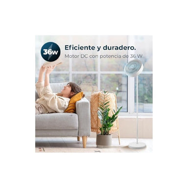 V5HAF827166696C9D88795879A71F1C3A6AR5175782P2