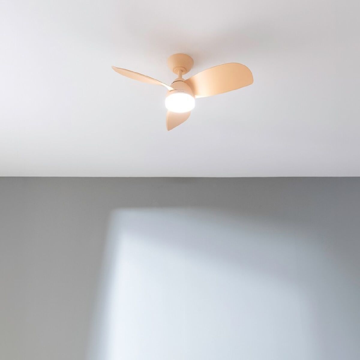 V3H1B1BBD94A4E6E9A877F0202FA0474281R6855429P2