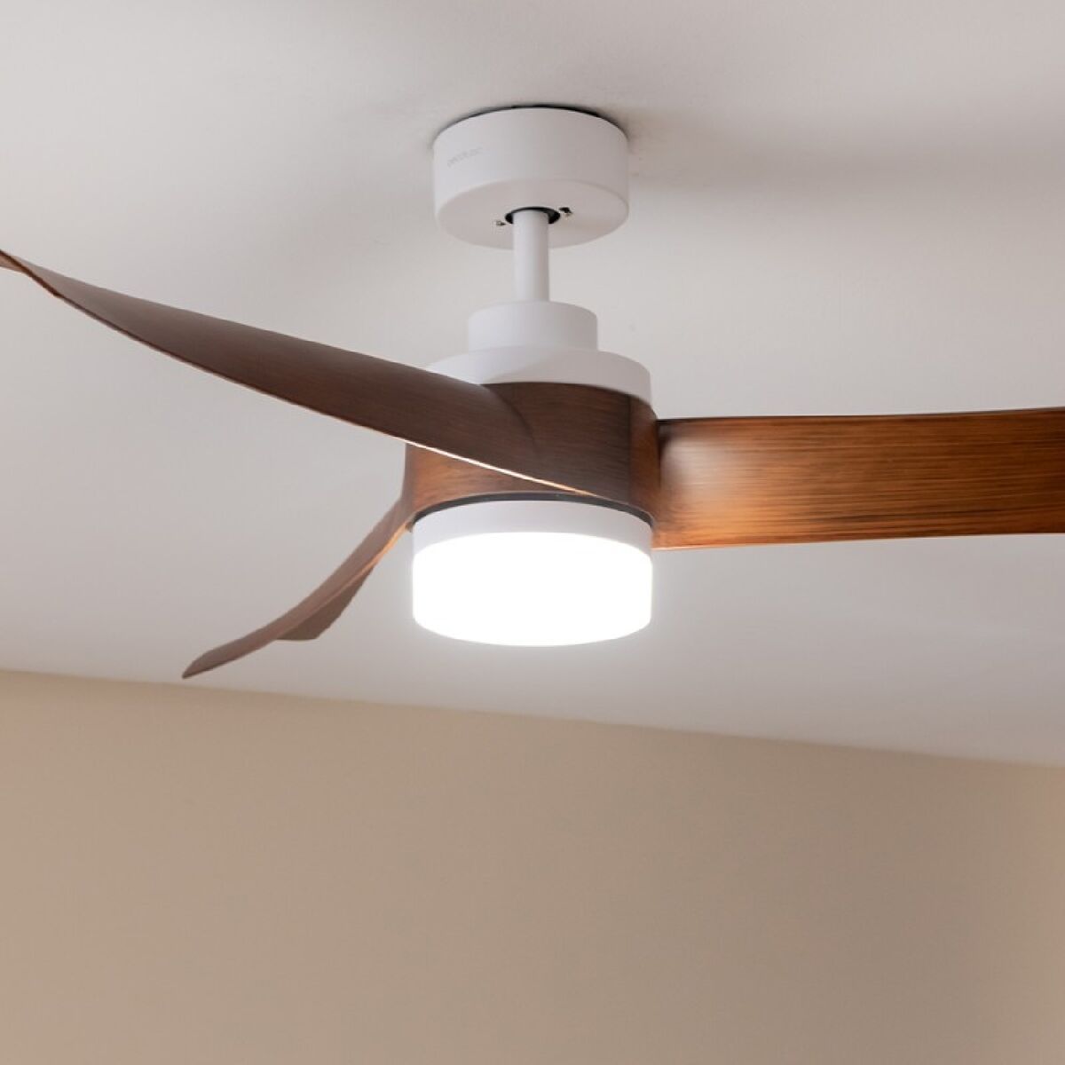 V4H57984CE28A92A6060D48733ED9059625R6855519P2