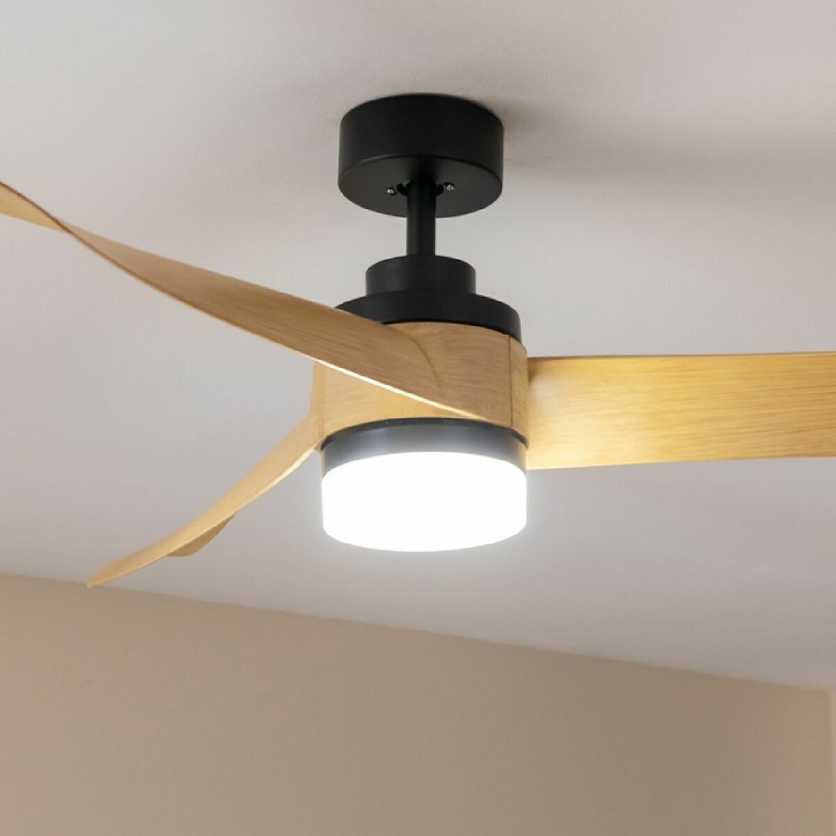 V3H626CE32A498E661E238C94FA3FDAF584R6855037P2