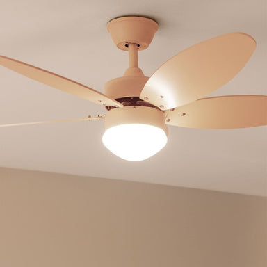 V5H507BBBF29F5B0AB2F7CBAF162801842BR5322233P2