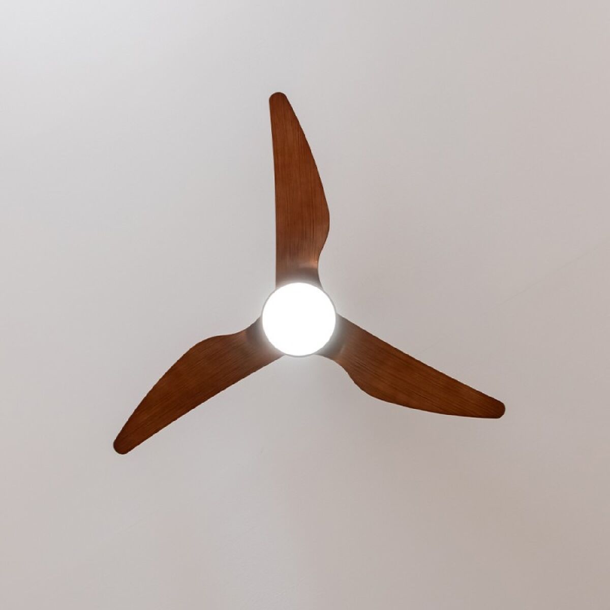 V5HEF6E5E6DEA0DBC1654142D49702206EAR5322183P3