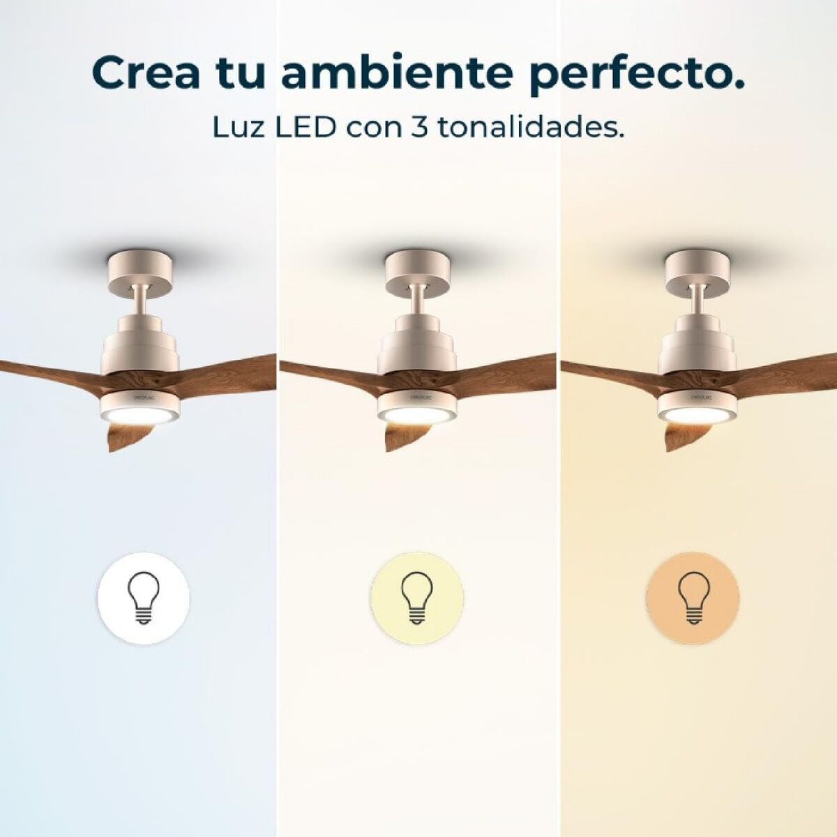 V5H4B724A149386C499FF8CF5203D0089E7R7345291P4