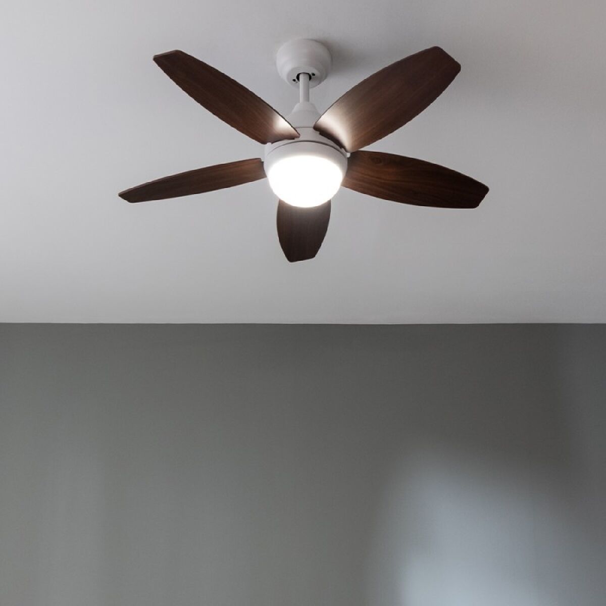 V5H1A537D549A042AADFA9A9609F71250D0R5322016P2