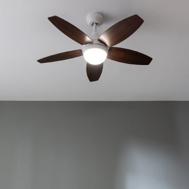 V5H1A537D549A042AADFA9A9609F71250D0R5322016P2