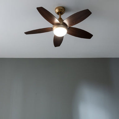 V5HF2CC269BD6D3661F904539519B33F6DDR5321971P2