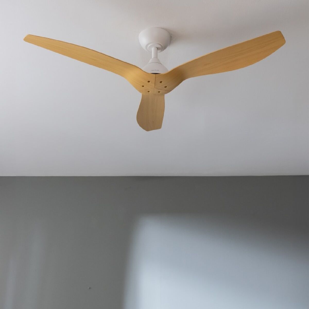 V5H7D46F436208BB4A89B1AC34F0E40B669R5176024P2