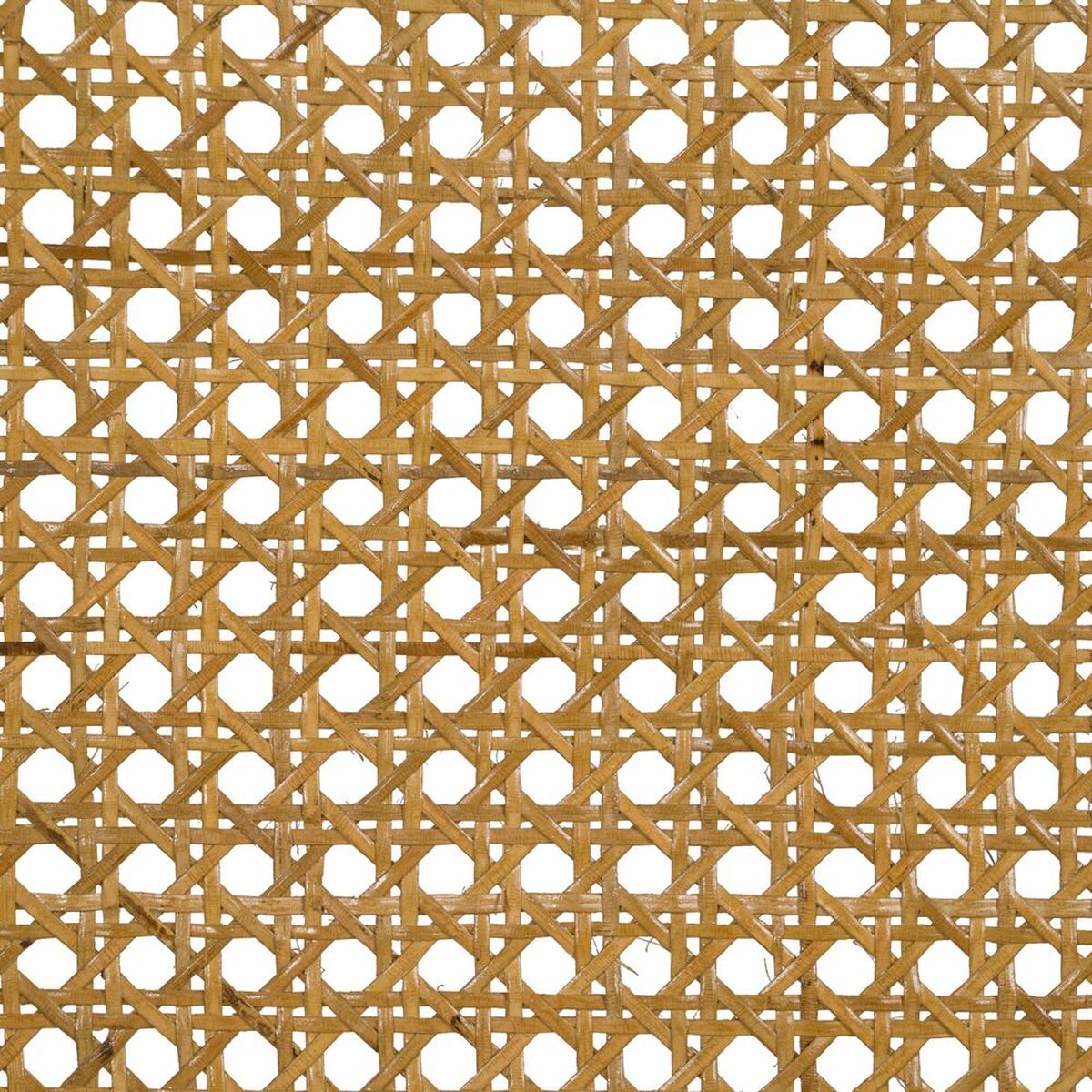 V5H21B28BE6D5BD45B2749CB278F99000C4R4584857P7