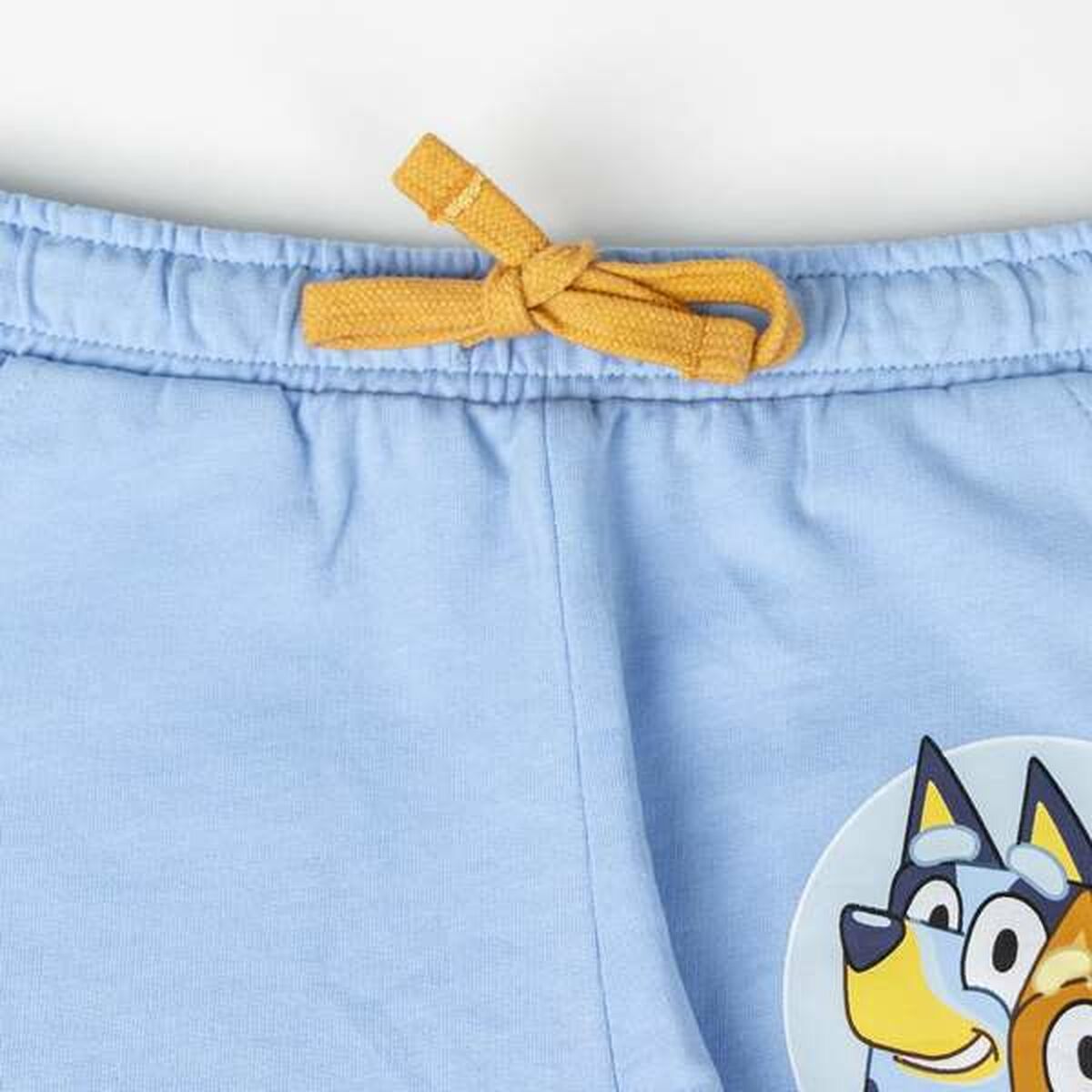 V5H6908F7B3F65D0A0F54017BCD202170E8R6727184P4