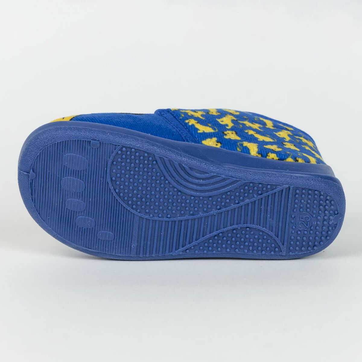 V5H059737E491A724E2BC6BF79A32874C0FR4813294P5