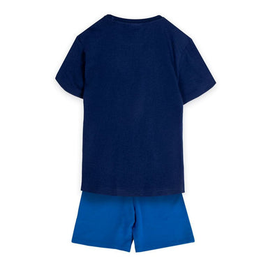 V5HC41962F66F17F62A871FBFBABF037273R6730382P2