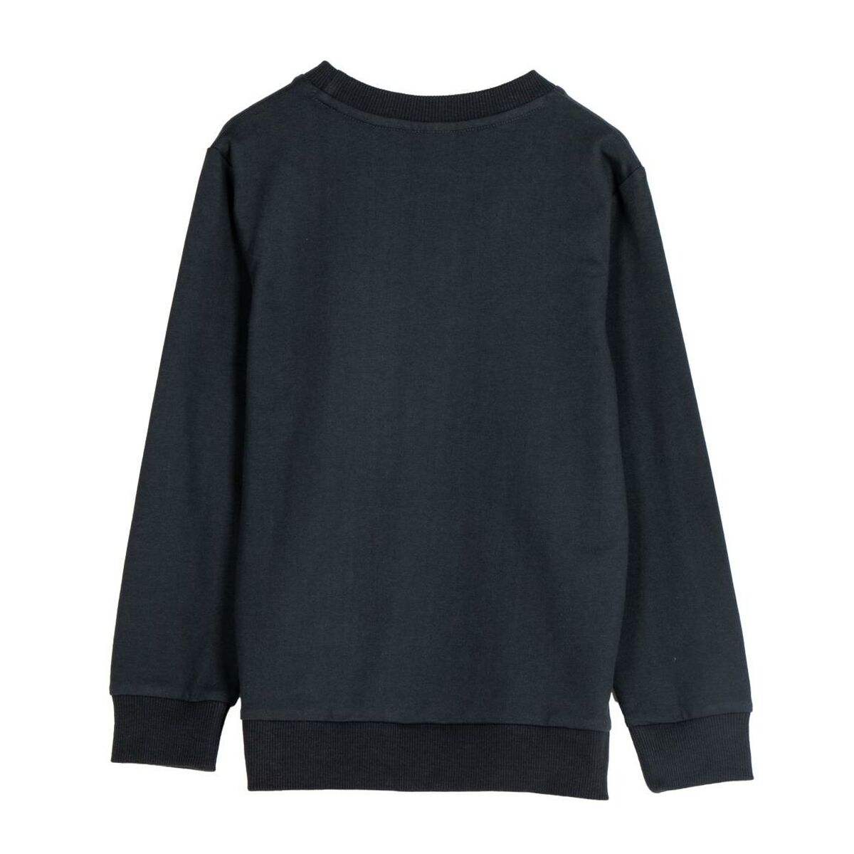 V6HD1A1D20CC4614A99C3C16AA5E740B1D3R6720700P2