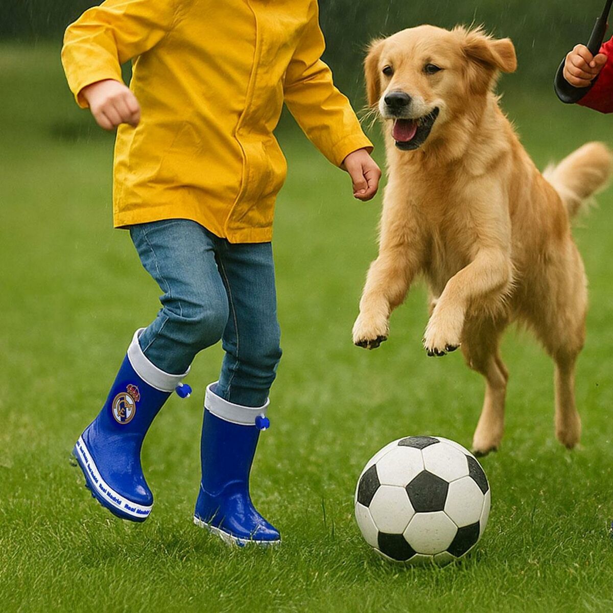 V4HCCE7B4798D06C08FF3E64EA7B81ACC52R6468040P8