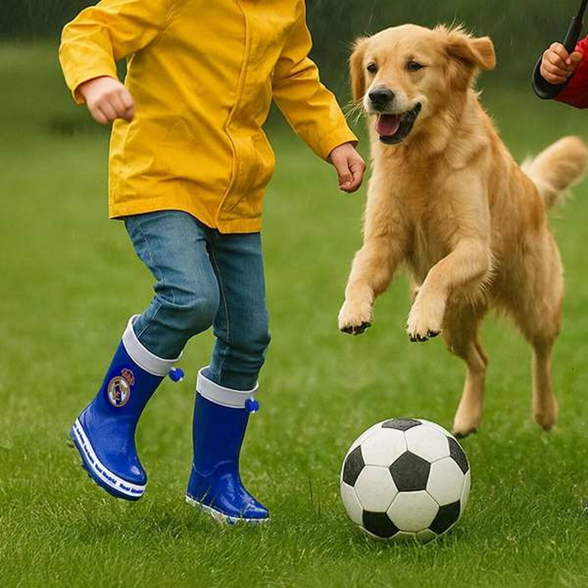 V4H5EADC74C387275A6867A4F4722DB522CR6468025P3