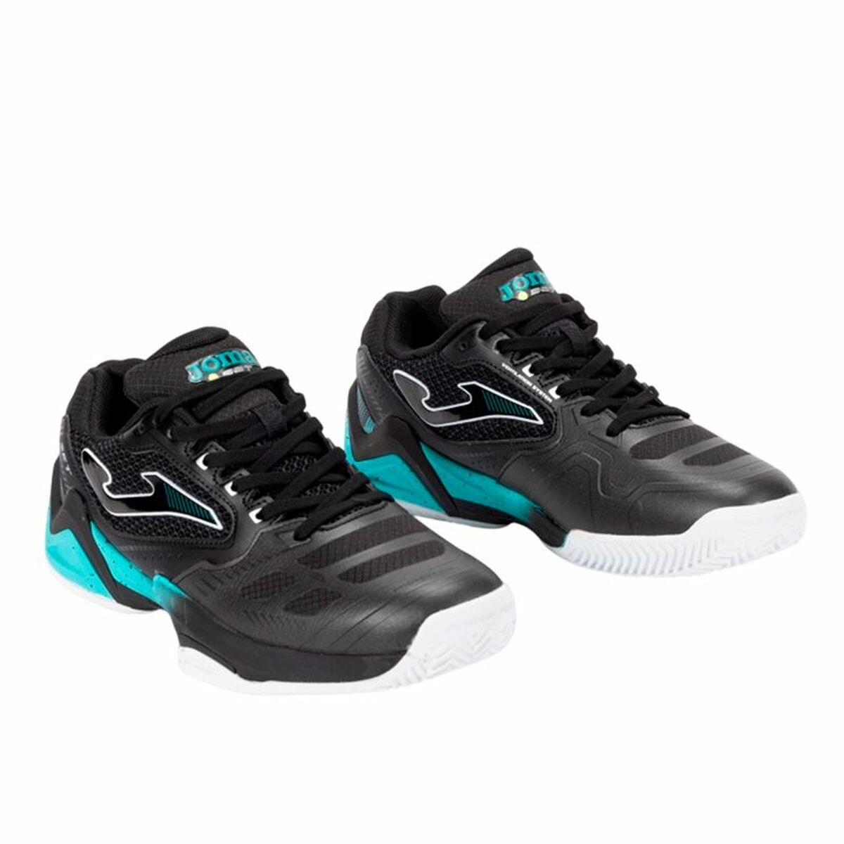 V4H0F4AF077B81C5C93A0CA1B24B3D10F1ER6073766P4