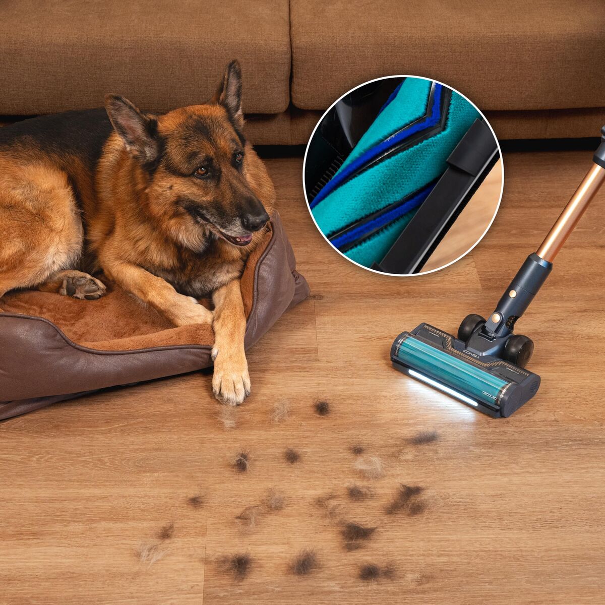 V3HC502B488B414F17A5B2CBAE2E6F6AD94R7549043P10