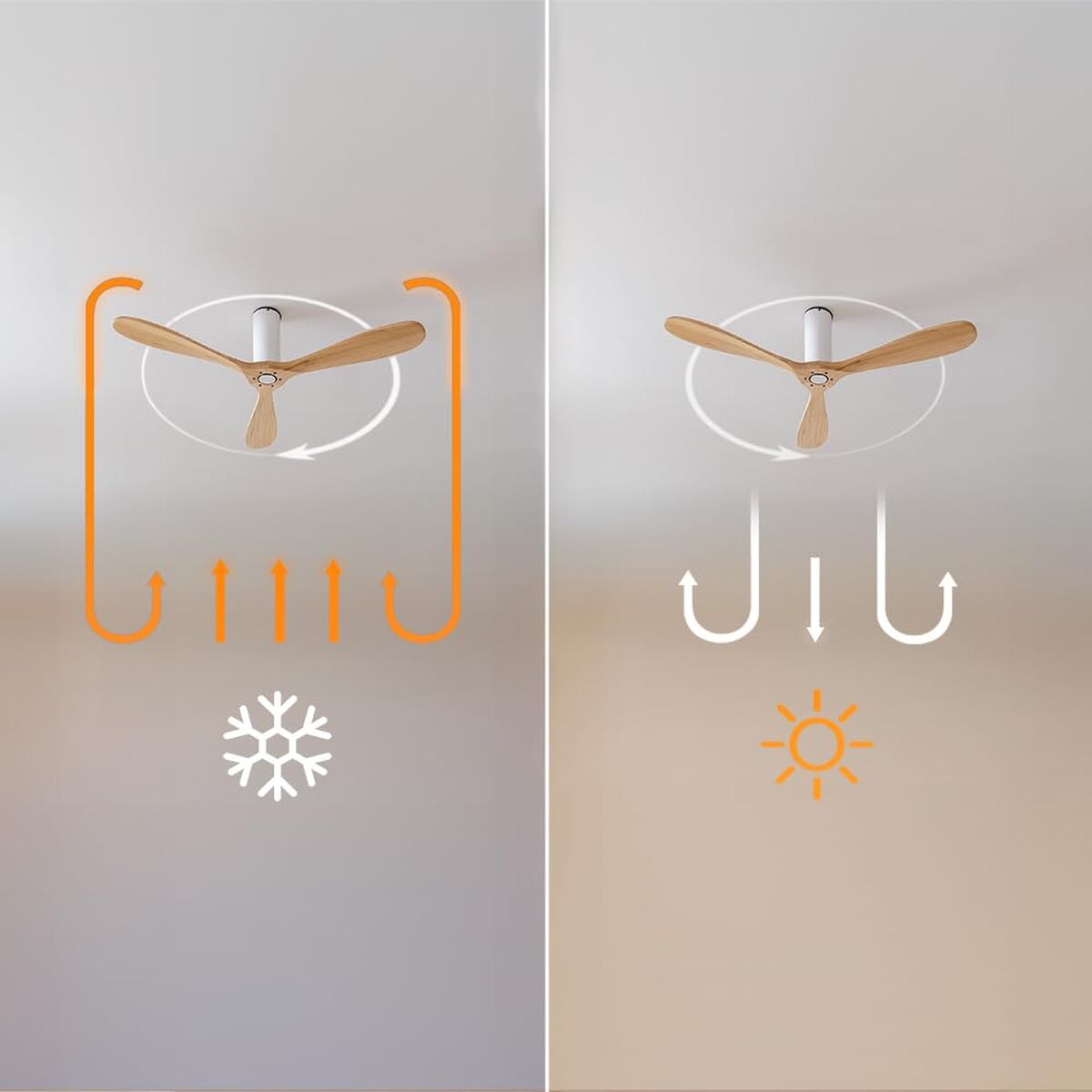 V2H00F80DF94976F8CE6DA21D1B3B1F3C0DR7649274P6