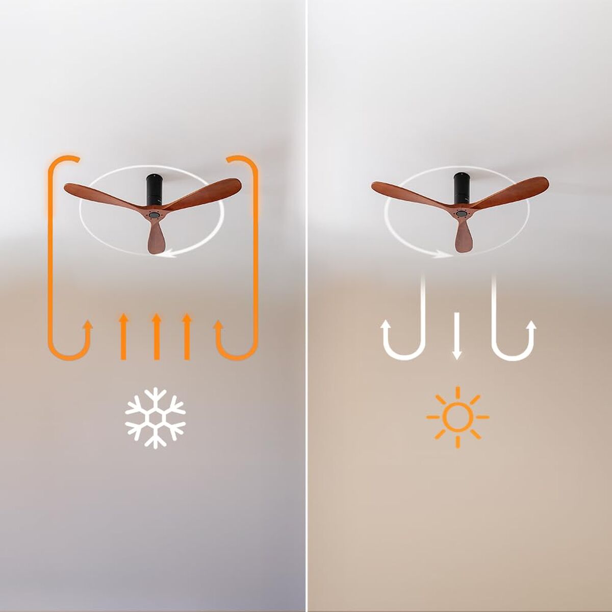 V2H518DDFB06A67E05FE115FD9FAC204259R7649281P6