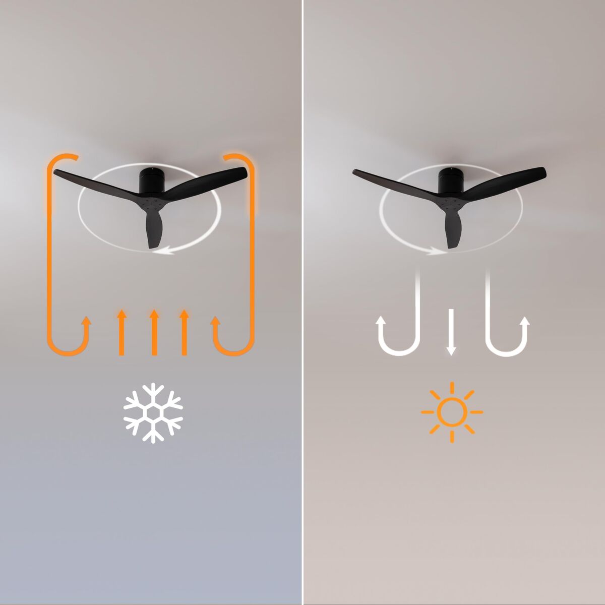 V2H69B26AE25C11F192B7D4019940FA2B4DR7649181P6