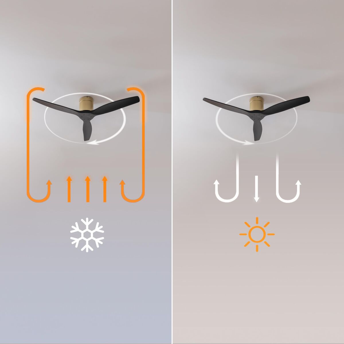 V2H6813FB3DBEE516153DAA248F5FFCA1ABR7649164P2