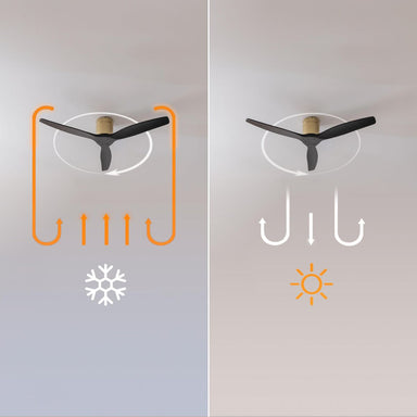 V2H6813FB3DBEE516153DAA248F5FFCA1ABR7649164P2