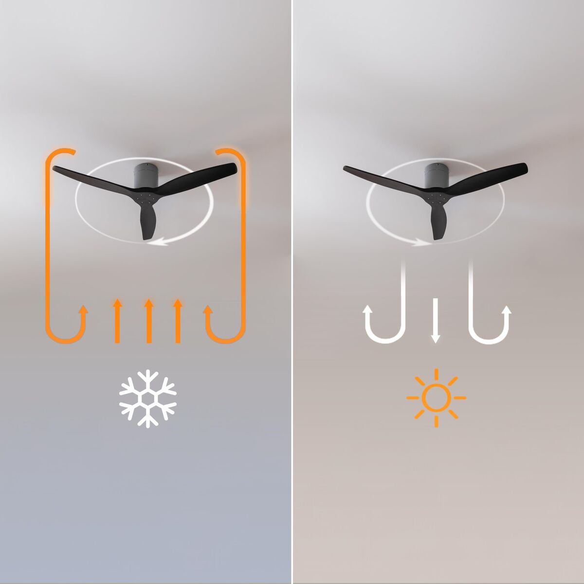 V2H1D001B333FA3BD9B04ED0CF4D1CB6304R7649191P6