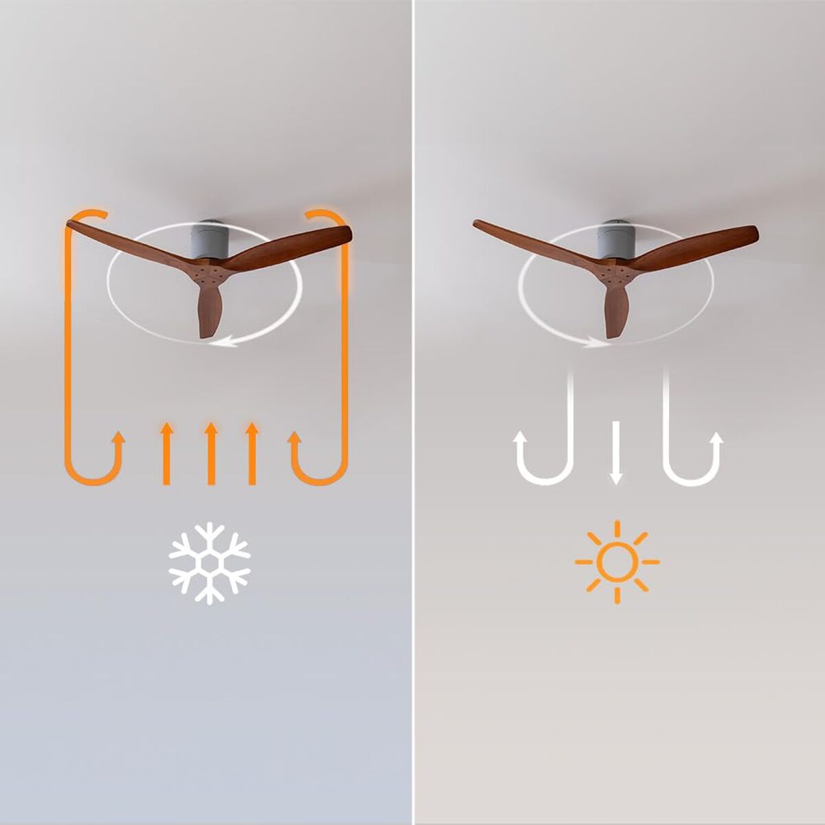 V2H359FC61294D4D601422FA6DA935B75C7R7649283P5