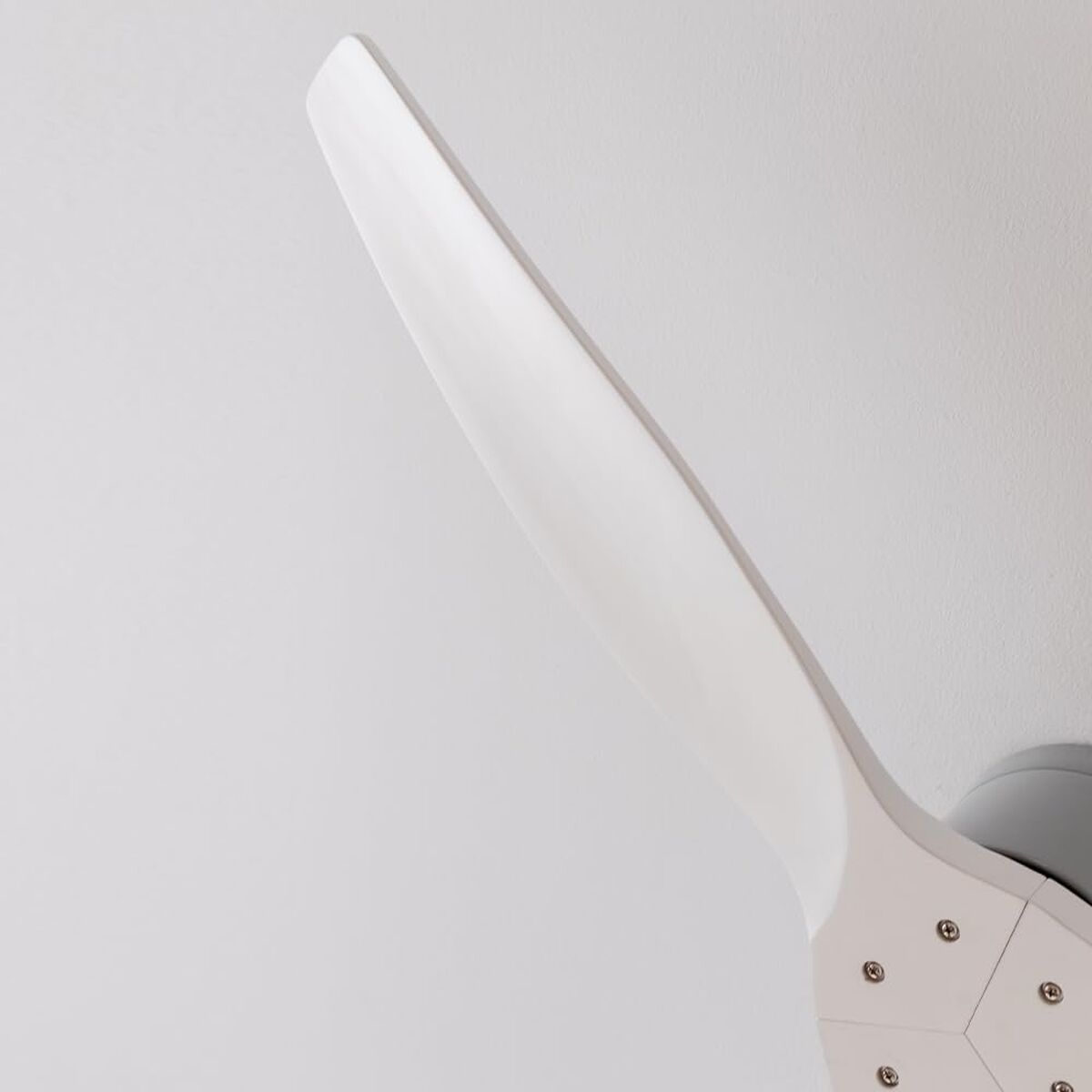 V2H0528C0D1B21BE07AC71D244405996552R7649239P4