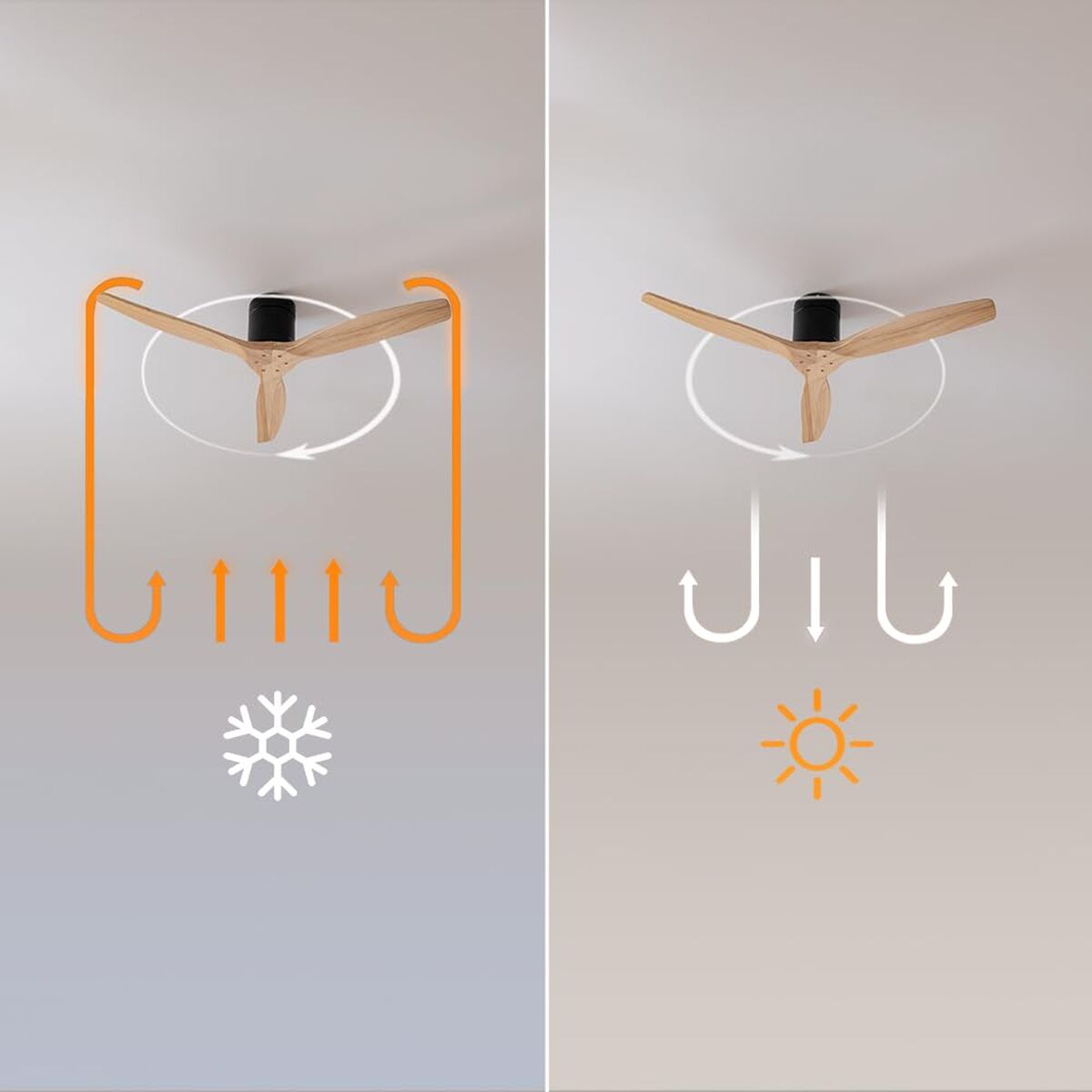 V2H28DCB88164DF28348941789B8037CC8FR7649238P5