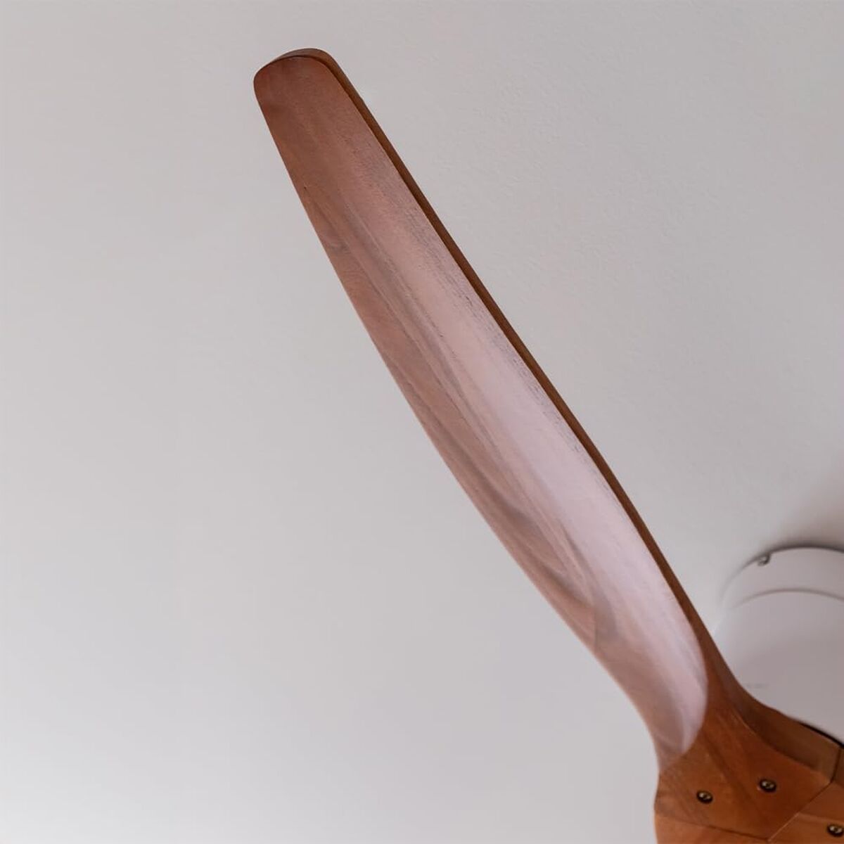 V2HD92CF2B24A1F1FAAD124FE1757A74DA6R7649259P5