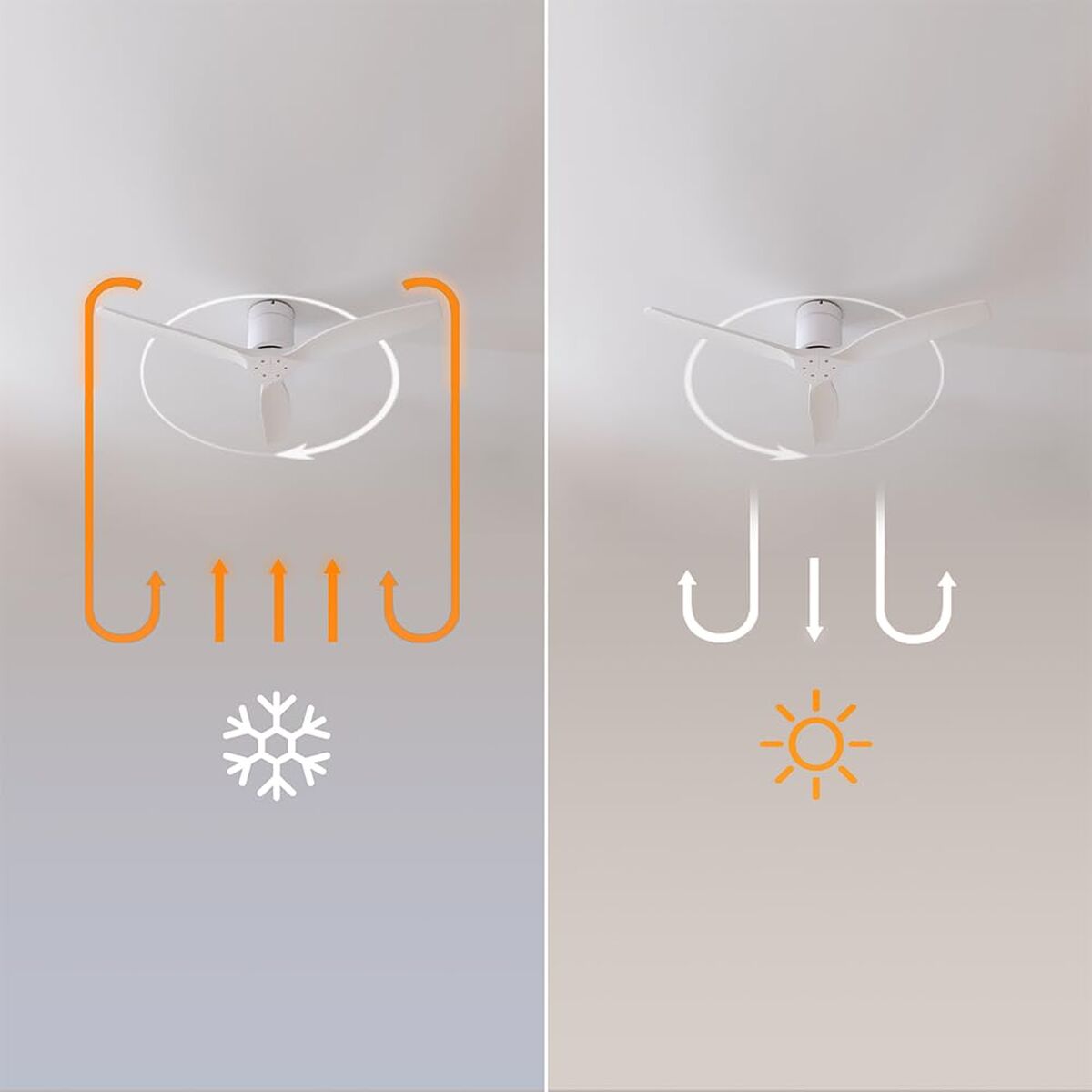 V2H66CB4483ED41E7B87F0F0EF8DFE3C53BR7649269P6