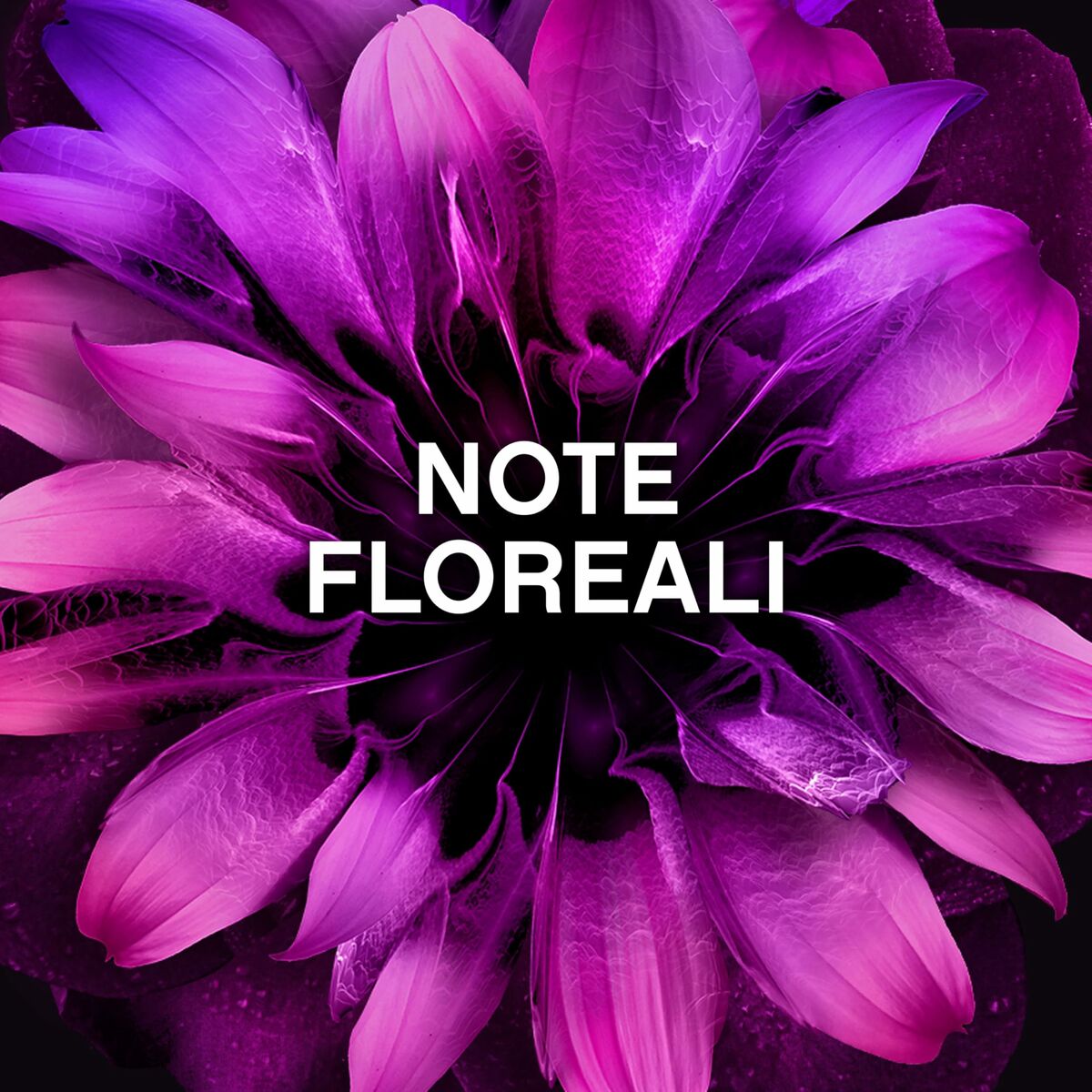 V4H5D49B953B68846E2A6C999BAD9144EA3R7427434P2