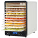 Voedseldroger met 10 lades 550 W wit