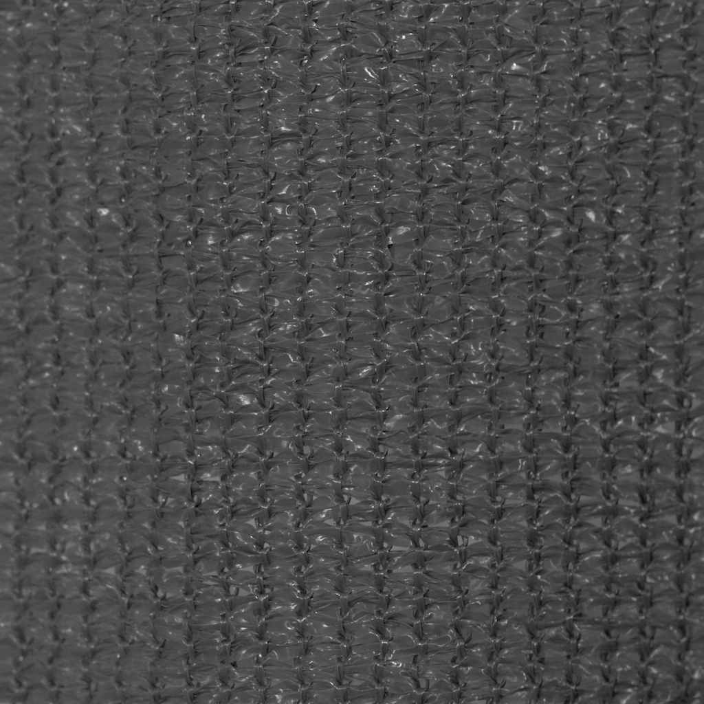 Rolgordijn voor buiten 165(B)x140(H) cm antracietkleurig