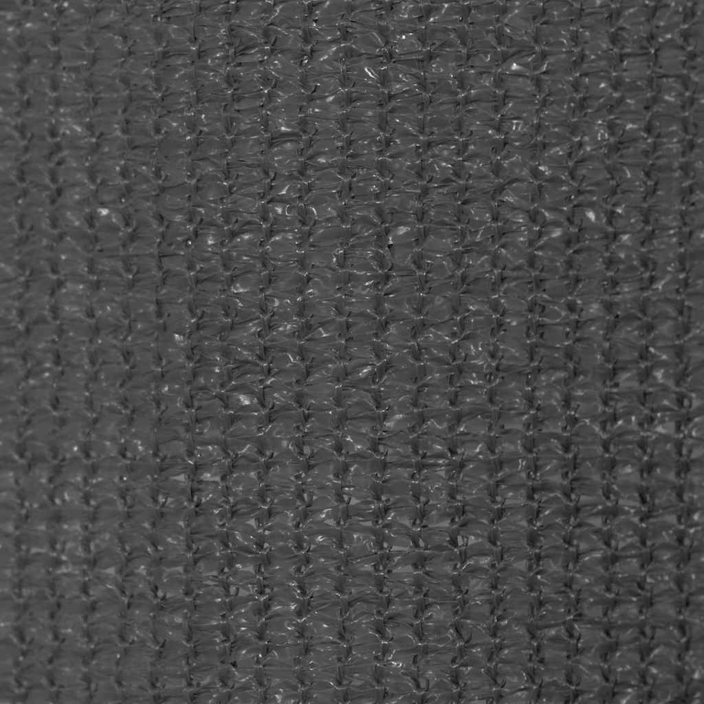 Rolgordijn voor buiten 225(B)x140(H) cm antracietkleurig