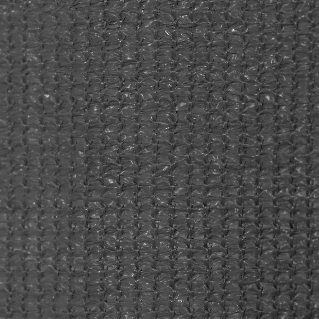 Rolgordijn voor buiten 245(B)x230(H) cm antracietkleurig