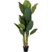 Overige Merken Kunstplant Bananenboom 80X165 Cm Groen