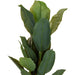 Overige Merken Kunstplant Bananenboom 80X165 Cm Groen