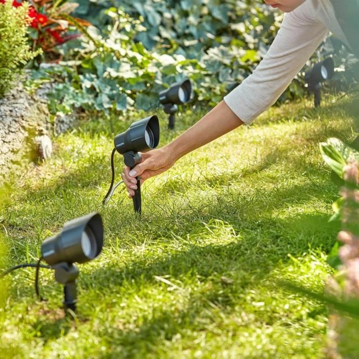 V5H4D666C6222D804EB3F4D72CA59C58FC8R4269058P5