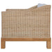 Fauteuil met kussens natuurlijk rattan