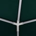 Partytent met zijwanden professioneel 90 g/m² 4x4 m groen